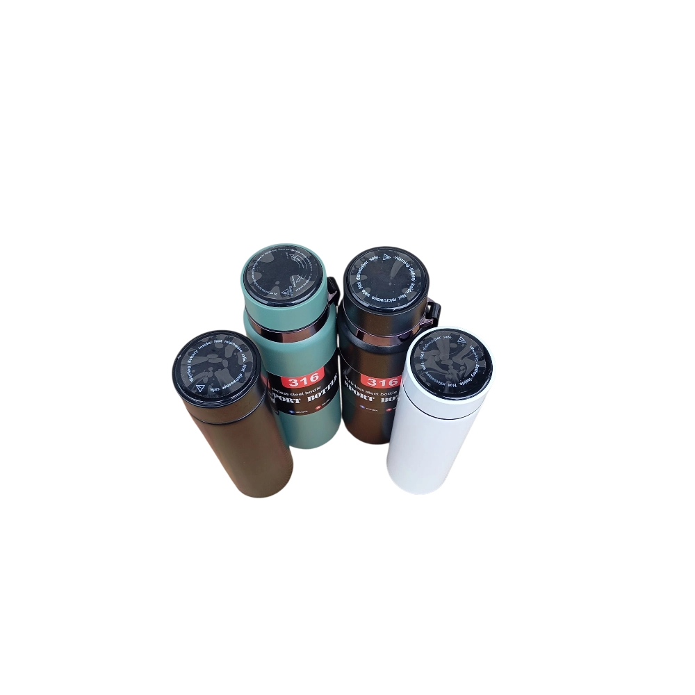 Temperature Display Water Bottle